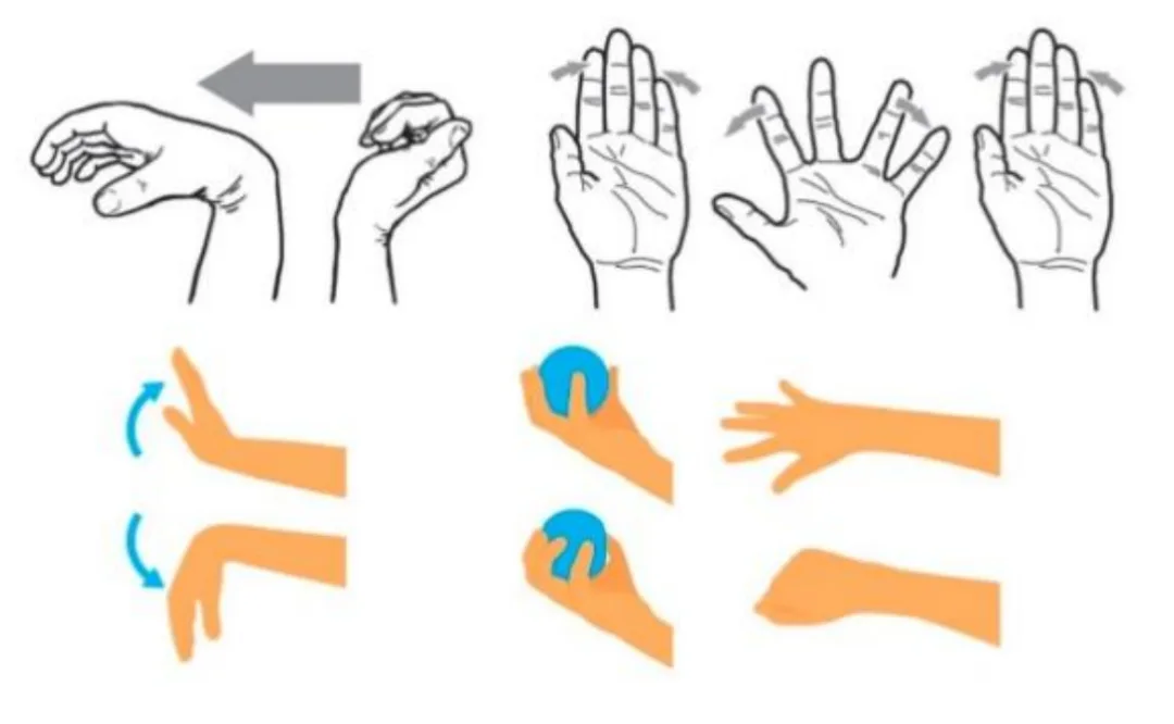 Elbow, wrist, and finger movement