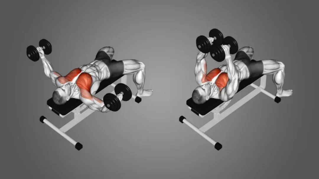 Dumbbell fly