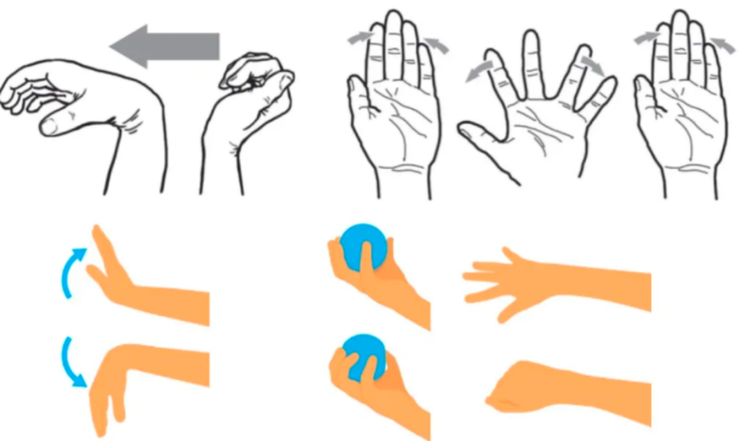 Wrist, hand, and finger mobility exercises